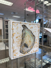 Load image into Gallery viewer, 6x6 Oyster in Gold Flakes
