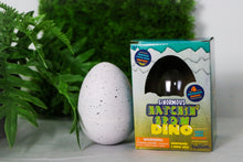 Load image into Gallery viewer, Ginormous Grow Dino Egg

